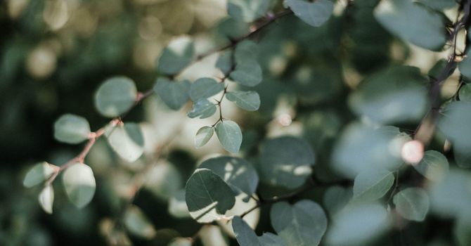 30 Min Osteopathy treatment